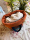 Miss Lizzy Hope Basket, Project Bag