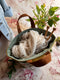 Magnolia Hope Basket, Project Bag