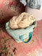Bubblegum Hope Basket