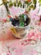 Mandala Tiny Tucker, Storage Basket