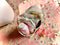 Santa Maria Tiny Tucker, Storage Basket