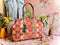 Naya Pioneer, Snap Frame Bag