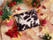 Oakley Accessories Pouch Oakley