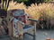 How Now Brown Cow 12x20, Jacquard