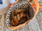 Paisley Toast Caddy