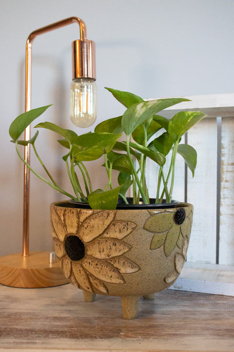 Sunflower Planter