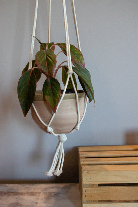 Hanging Planter