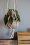 Hanging Planter