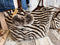 Born Free Chocolate Lolita, Handbag & Matching Pouch