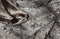 Silvered Slate Throw Jacquard